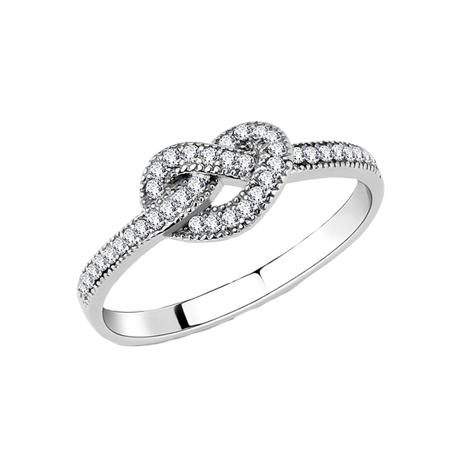 Women's High Polished Stainless Steel Ring with AAA Grade CZ Cl